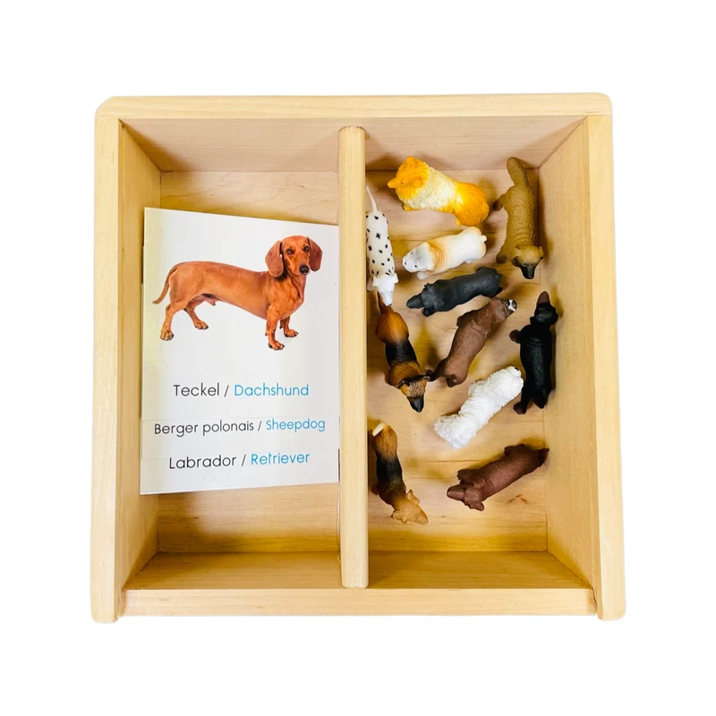 Coffret figurines les chiens