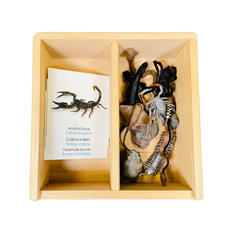 Coffret figurines les créatures venimeuses