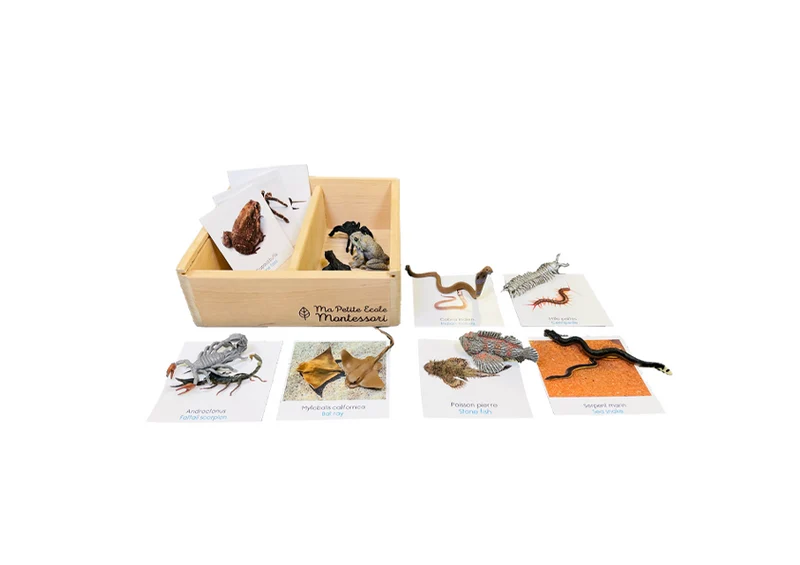 Coffret figurines les créatures venimeuses