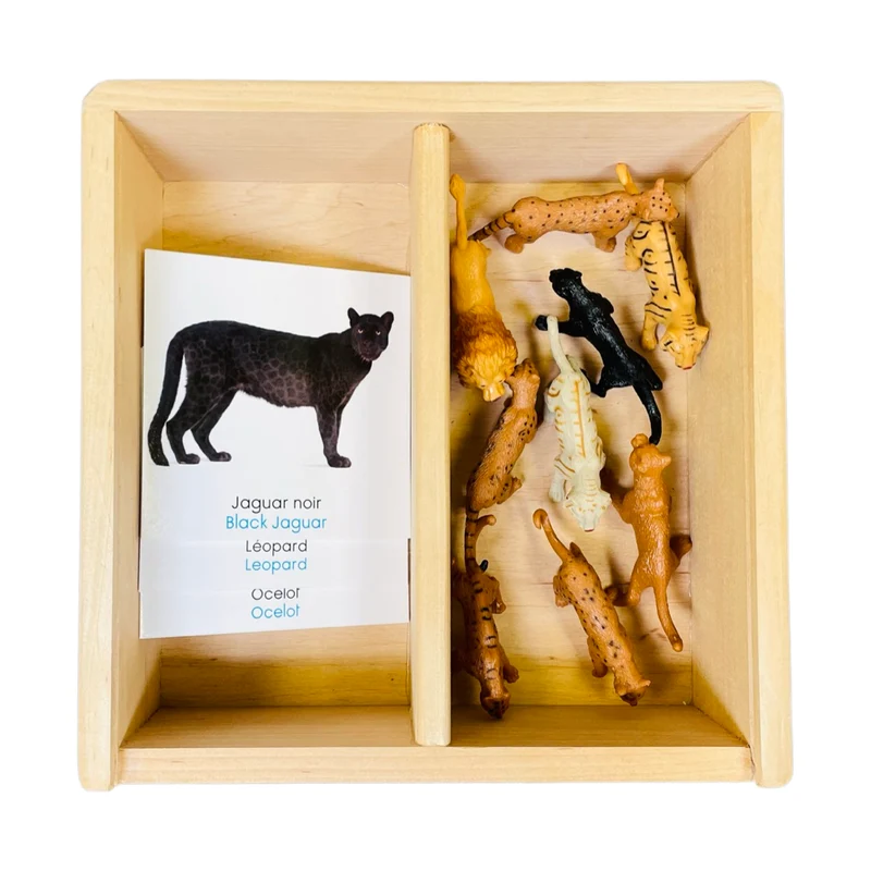 Coffret figurines les félins