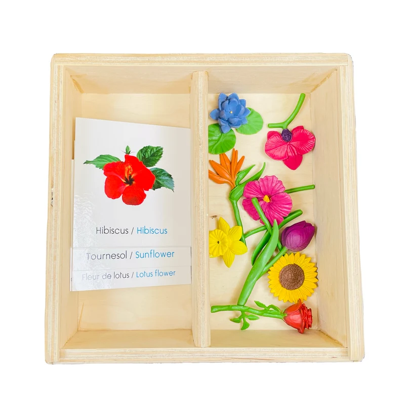 Coffret figurines les fleurs