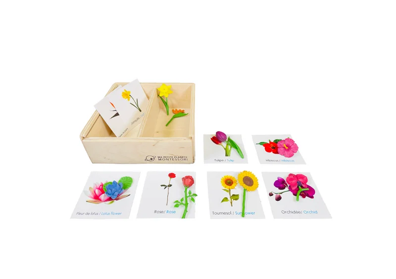 Coffret figurines les fleurs