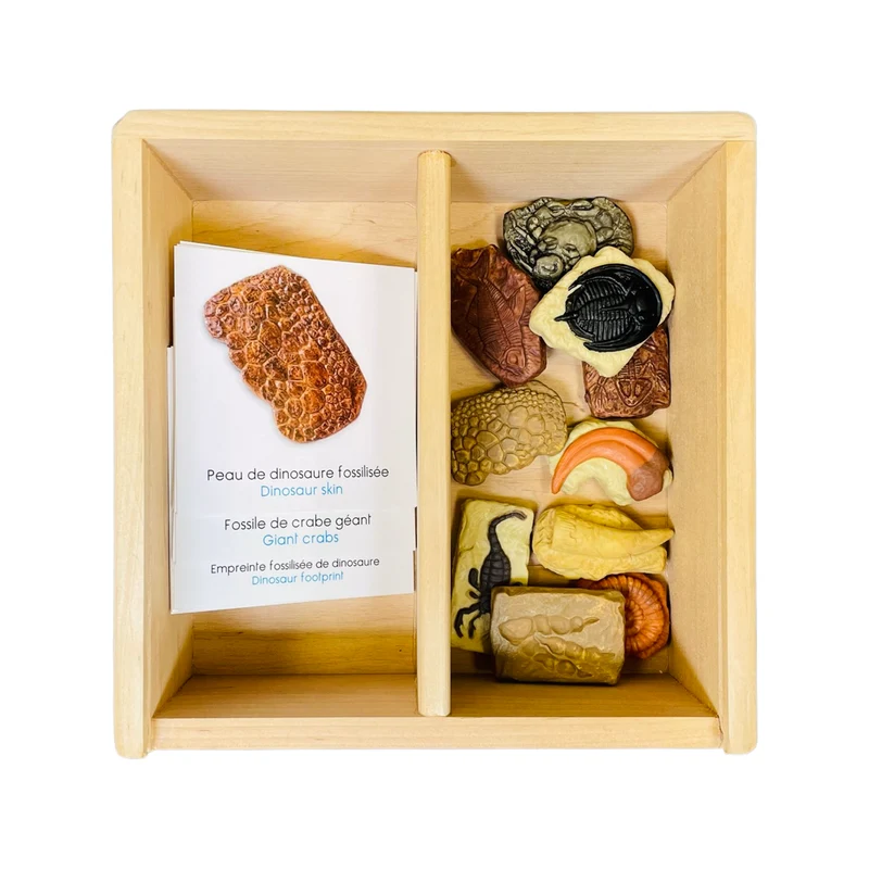 Coffret figurines les fossiles