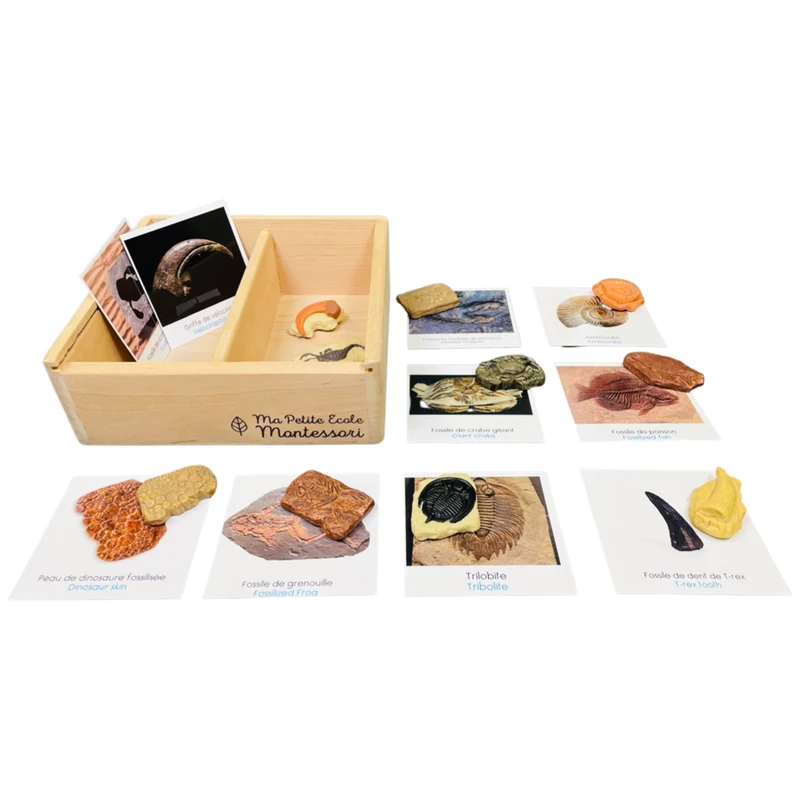 Coffret figurines les fossiles