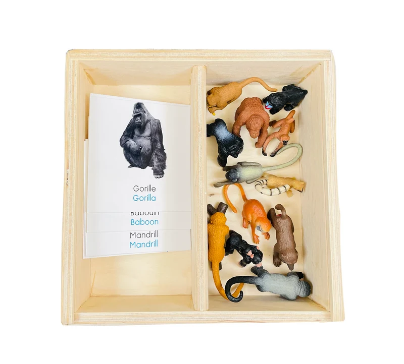Coffret figurines les singes