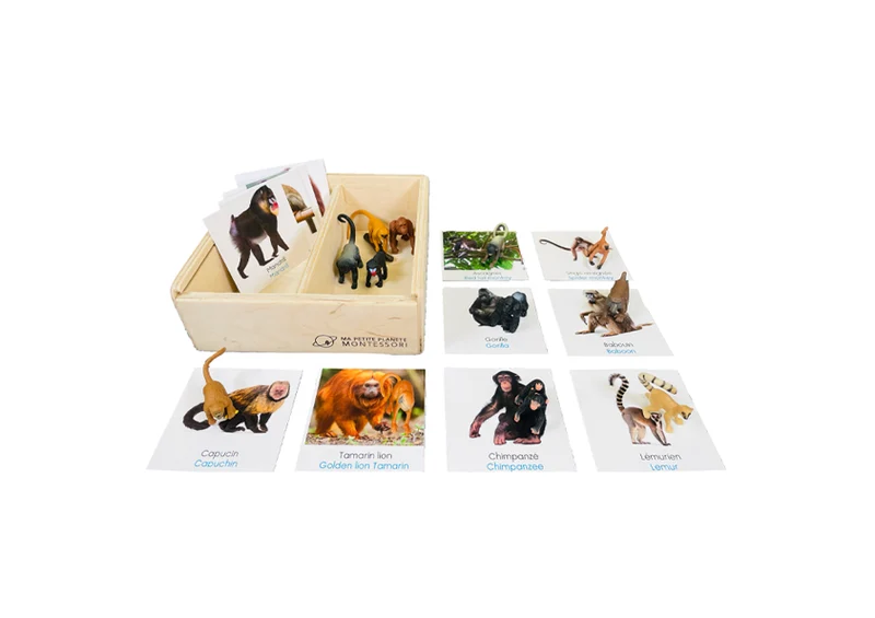 Coffret figurines les singes