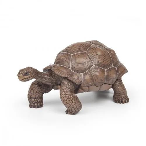 Papo Figurine Galapagos Tortoise / Figurine Tortue des Galapagos Papo