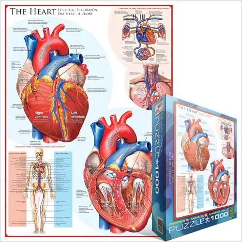 Eurographics Puzzle The Heart / Casse-tête Le coeur (1000pcs)