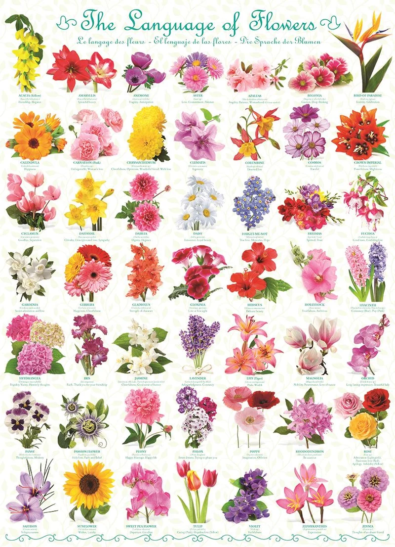 Eurographics Puzzle The Language of Flowers/ Casse-Tête Langage des fleurs (1000pcs)