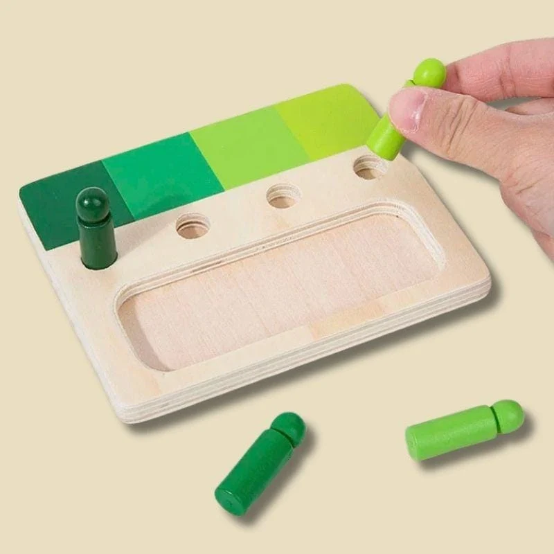 Tableau Montessori en Bois | Connaissance des Couleurs – Dégradés & Motricité Fine N