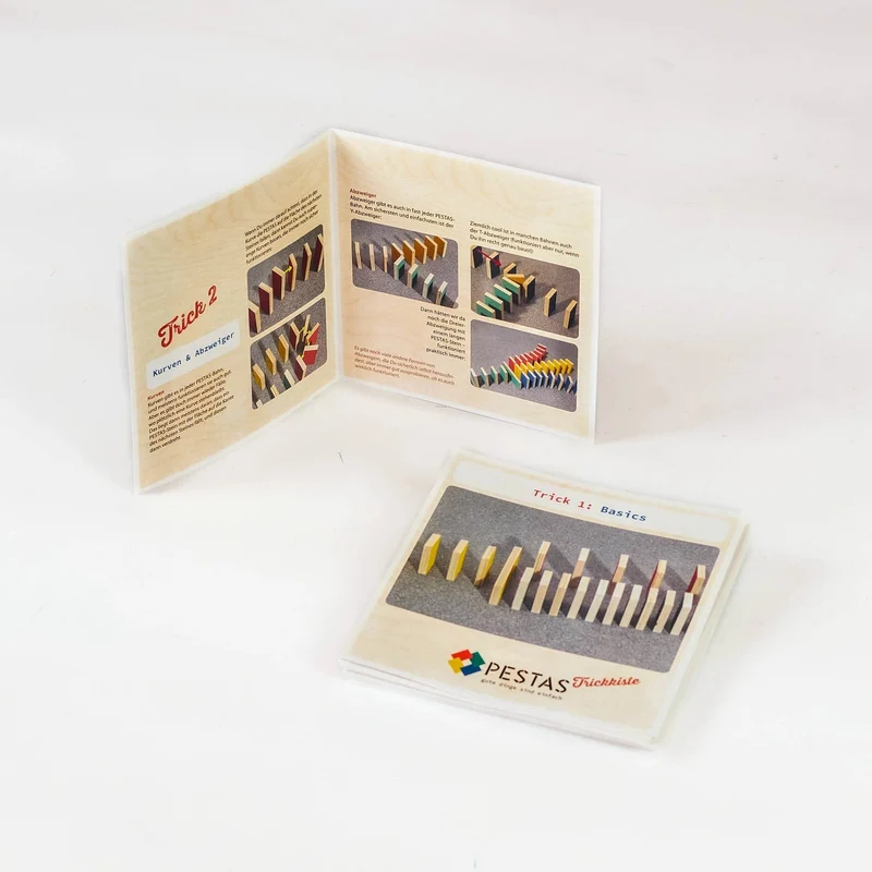 Lot de 24 Astuces Montessori Dominos