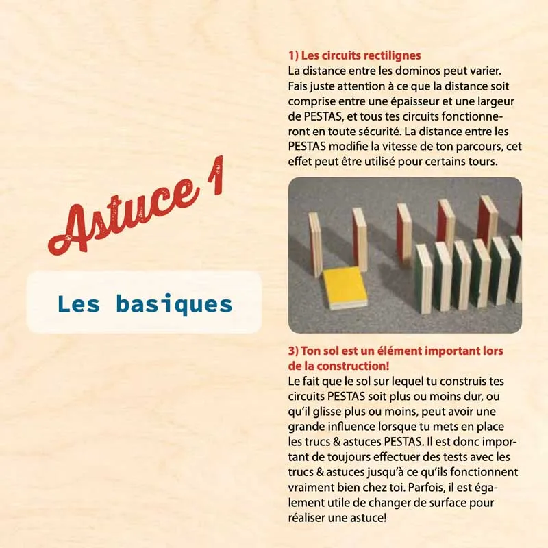 Lot de 24 Astuces Montessori Dominos
