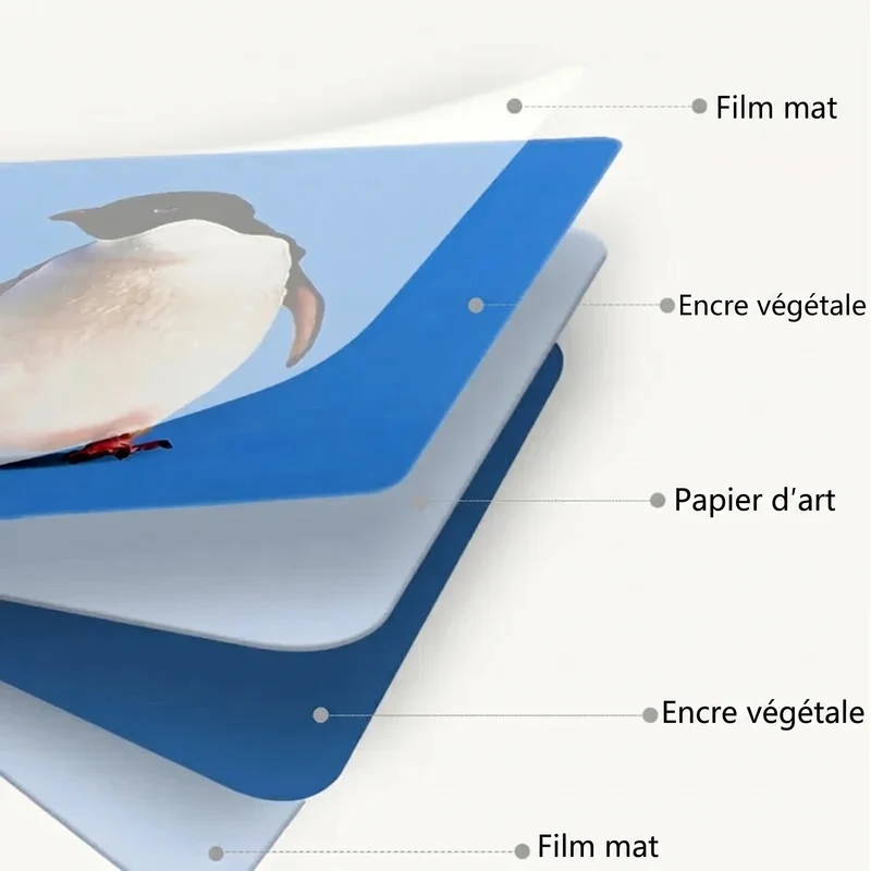 Cartes de stimulation visuelle pour bébé Montessori