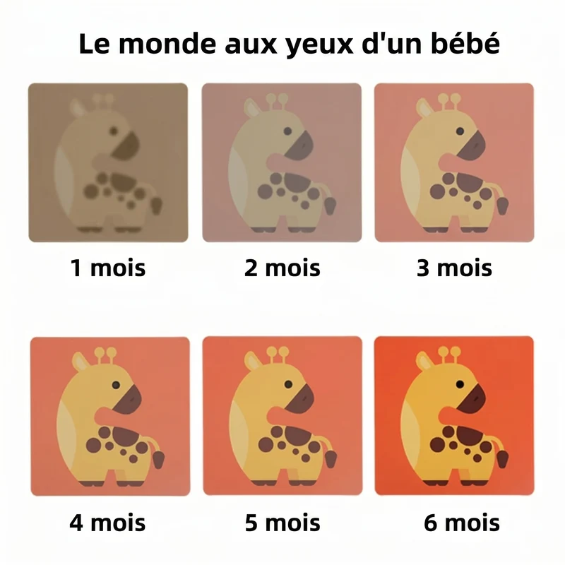Cartes de stimulation visuelle pour bébé Montessori