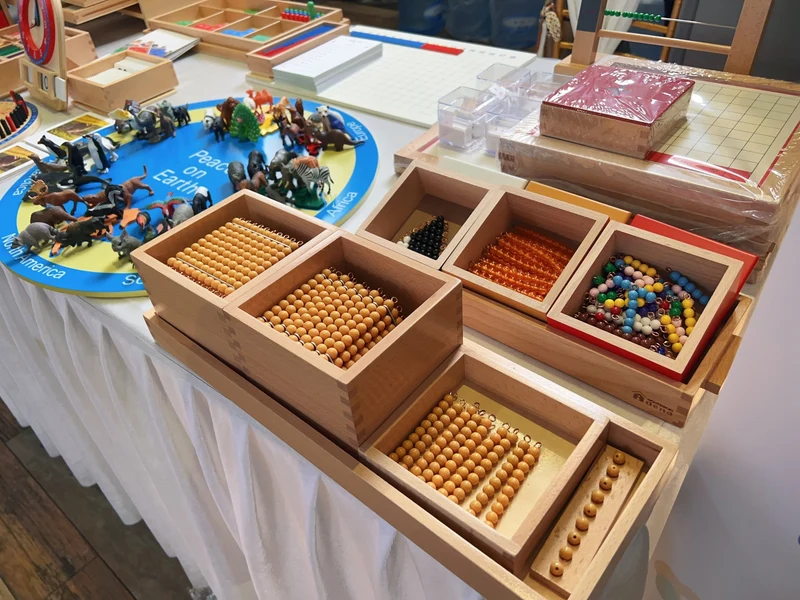 Adena Montessori Animals of the seven continents Montessori Toys for Kindergarten