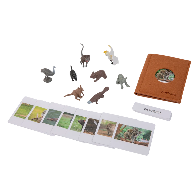 Adena Montessori Animals of the seven continents Montessori Toys for Kindergarten