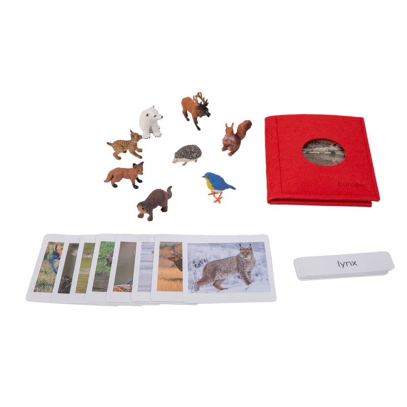 Adena Montessori Animals of the seven continents Montessori Toys for Kindergarten