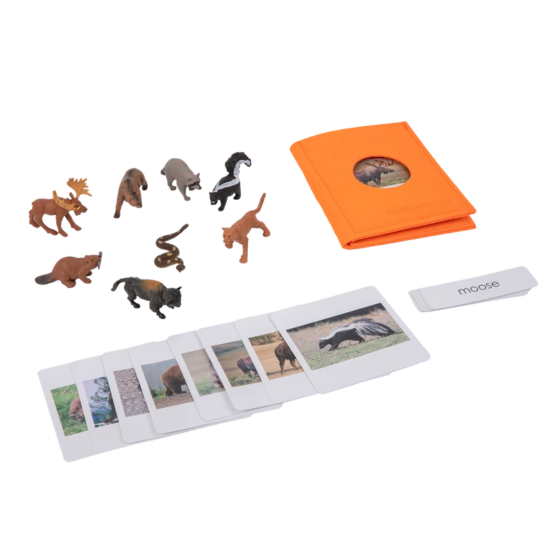 Adena Montessori Animals of the seven continents Montessori Toys for Kindergarten