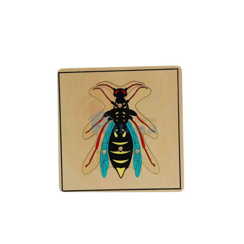 Wasp Puzzle