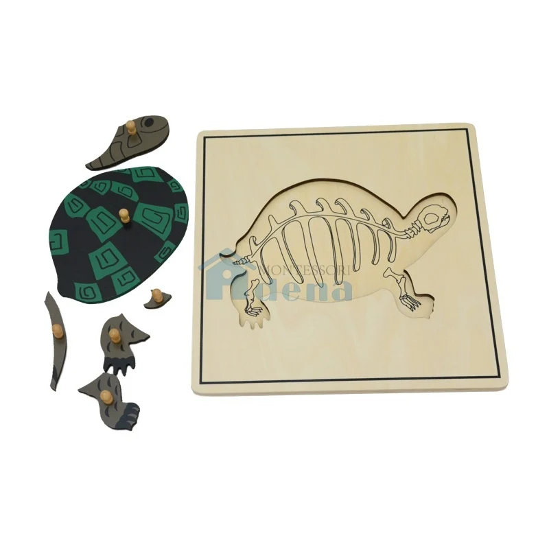 Skeleton Puzzle