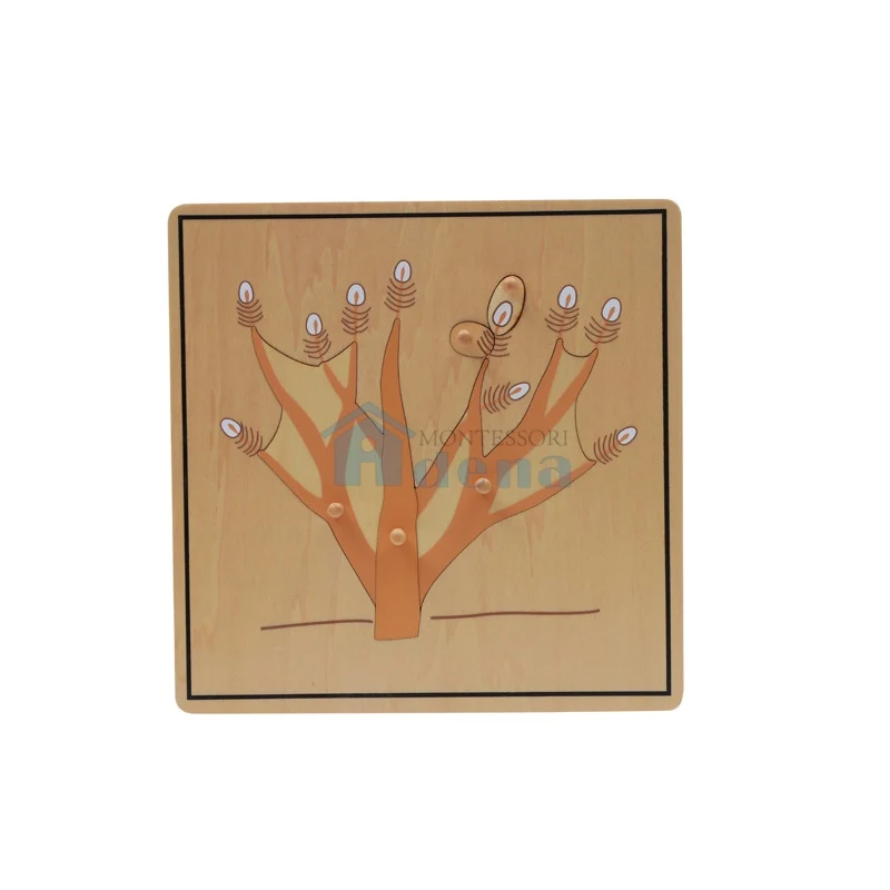 Root Puzzle