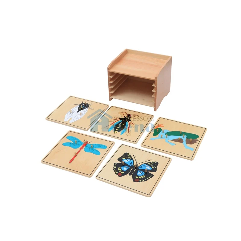 Insect Puzzle Cabinet (5Slots) (5 Puzzles Included)
