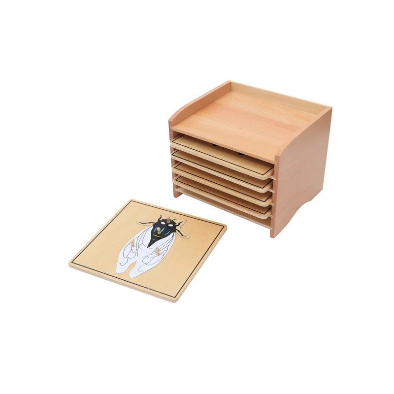Insect Puzzle Cabinet (5Slots) (5 Puzzles Included)