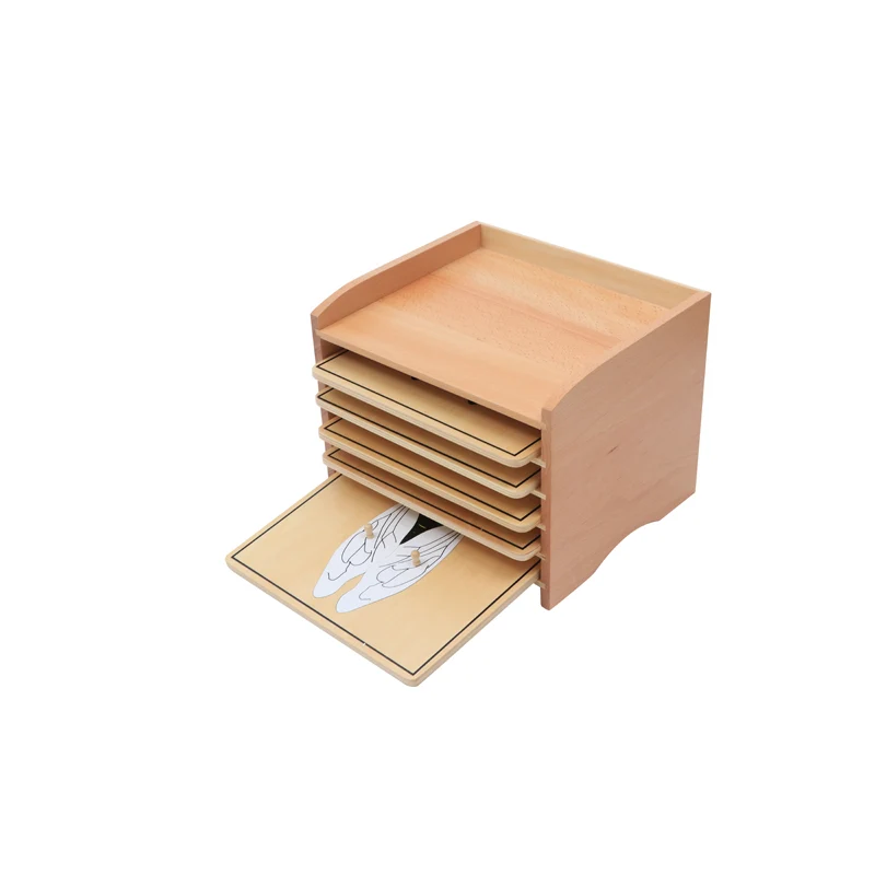 Insect Puzzle Cabinet (5Slots) (5 Puzzles Included)