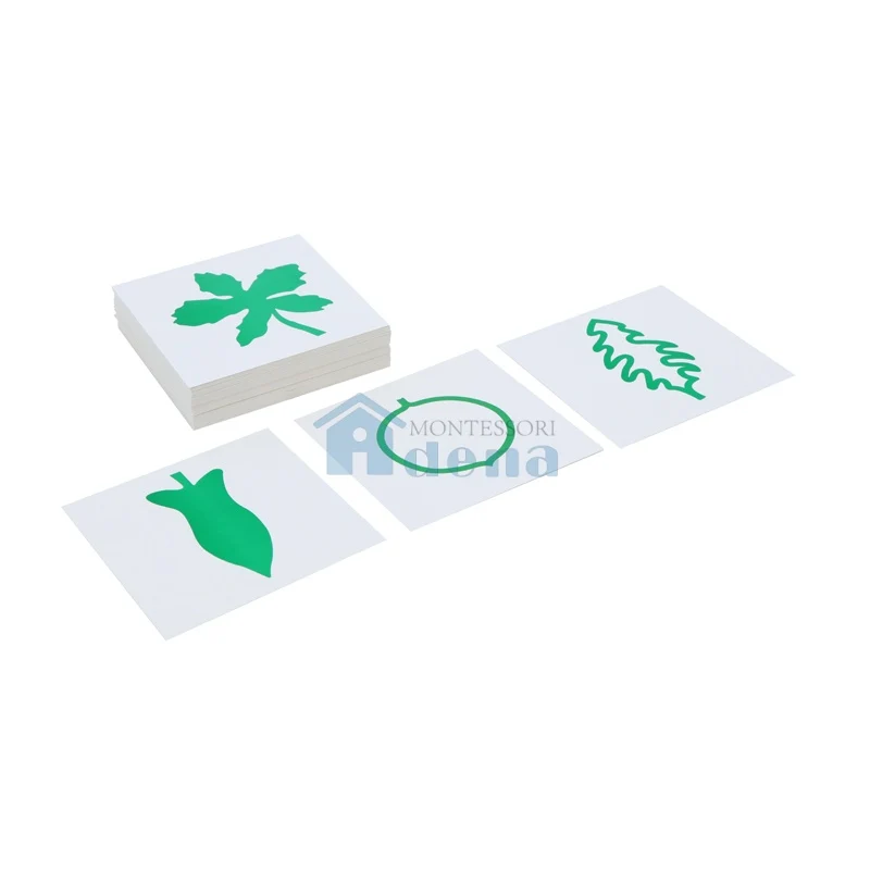 Leaf Cards