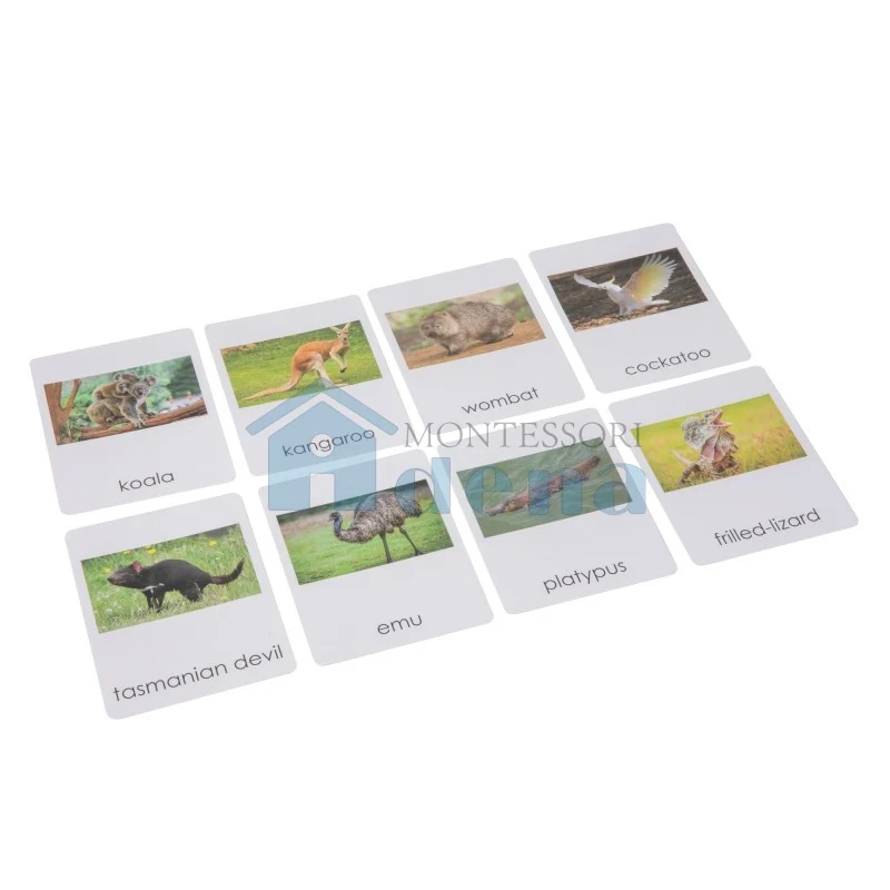 Adena Montessori Materials Australia Wildlife Sorting Cards EN with Album