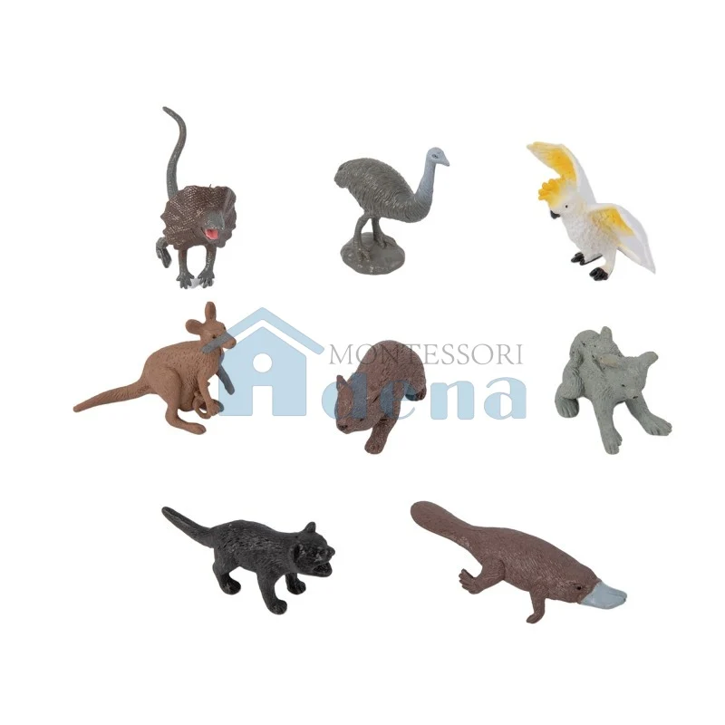 Adena Montessori Educational Materials Oceania Wildlife Objects