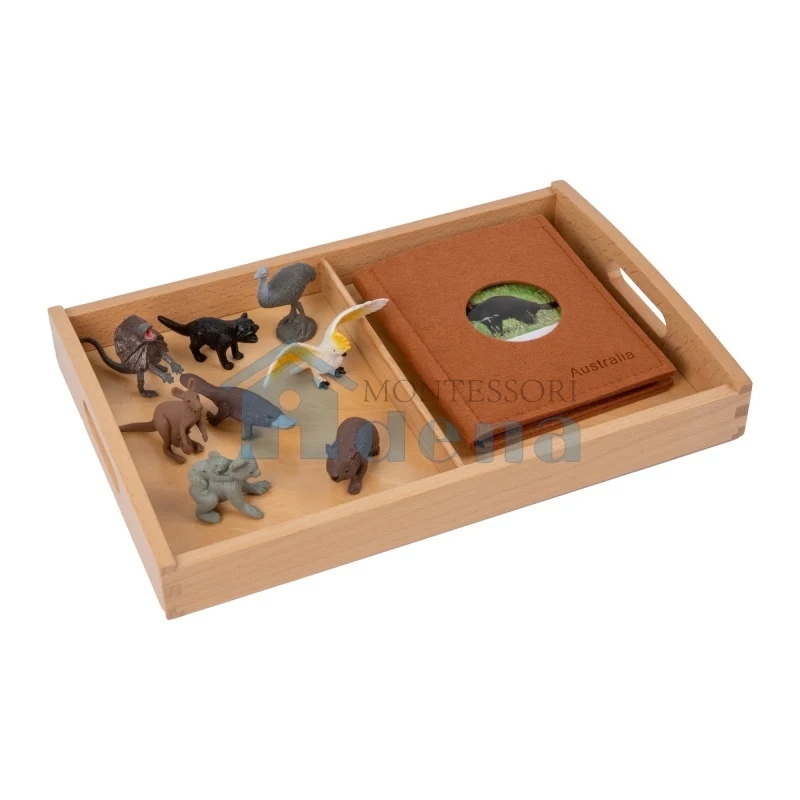 Adena Montessori Materials Oceania Wildlife objects with Sorting Cards and Tray