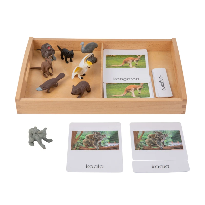 Adena Montessori Materials Oceania Wildlife objects with Sorting Cards and Tray