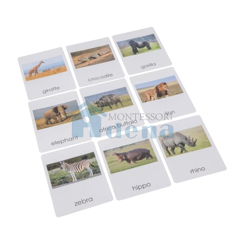 Adena Montessori Materials Africa Wildlife Sorting Cards EN with Album