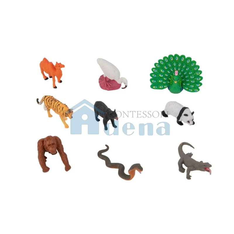 Adena Montessori Educational Materials Asian Wildlife Objects