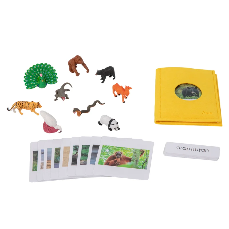 Adena Montessori Educational Materials Asian Wildlife Objects