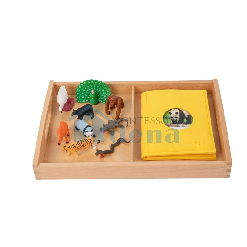 Adena Montessori Materials Asian Wildlife objects with Sorting Cards and Tray