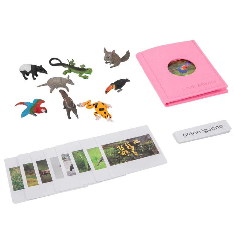 Adena Montessori Educational Materials South American Wildlife Objects