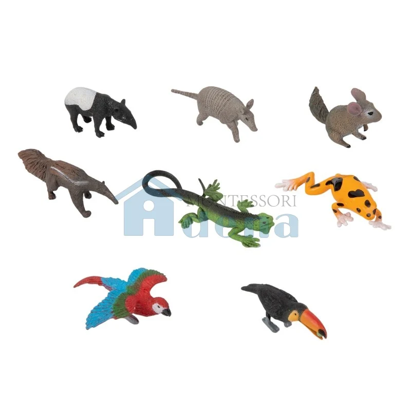 Adena Montessori Educational Materials South American Wildlife Objects