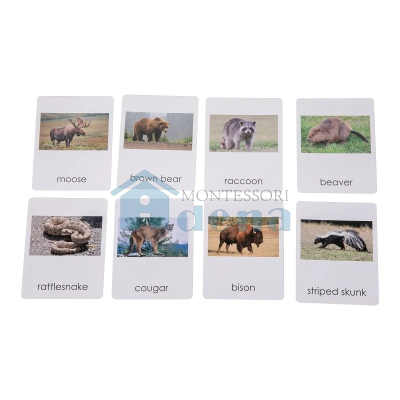 Adena Montessori Educational Materials North American Wildlife Sorting Cards EN with album