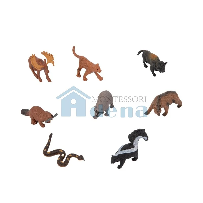 Adena Montessori Educational Materials North American Wildlife objects