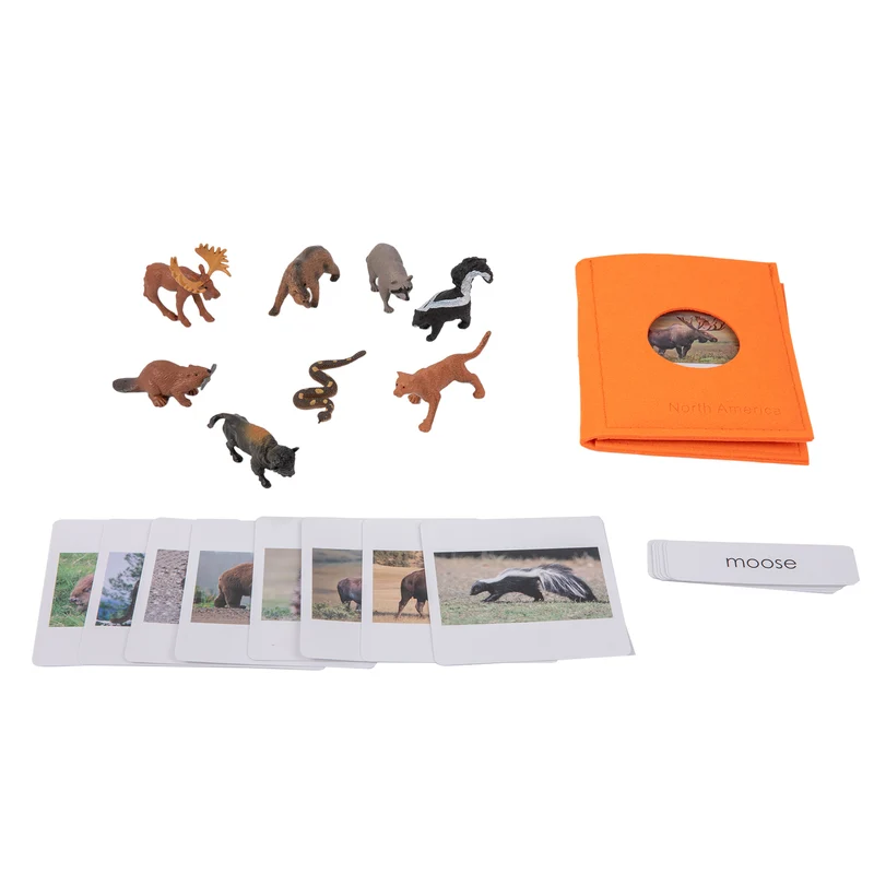 Adena Montessori Educational Materials North American Wildlife objects