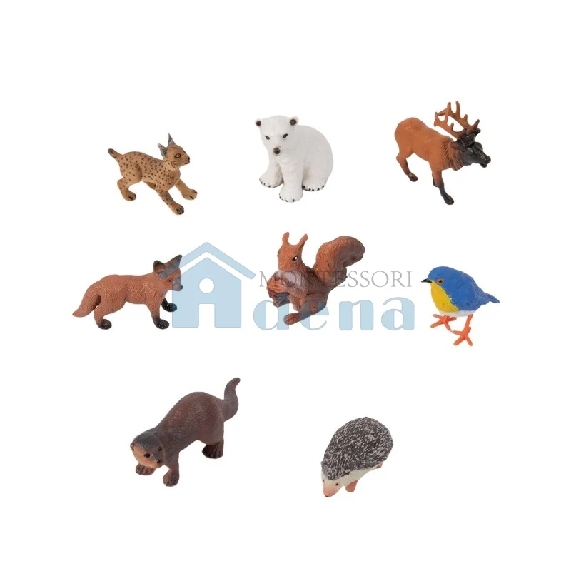 Adena Montessori Educational Materials European Wildlife objects