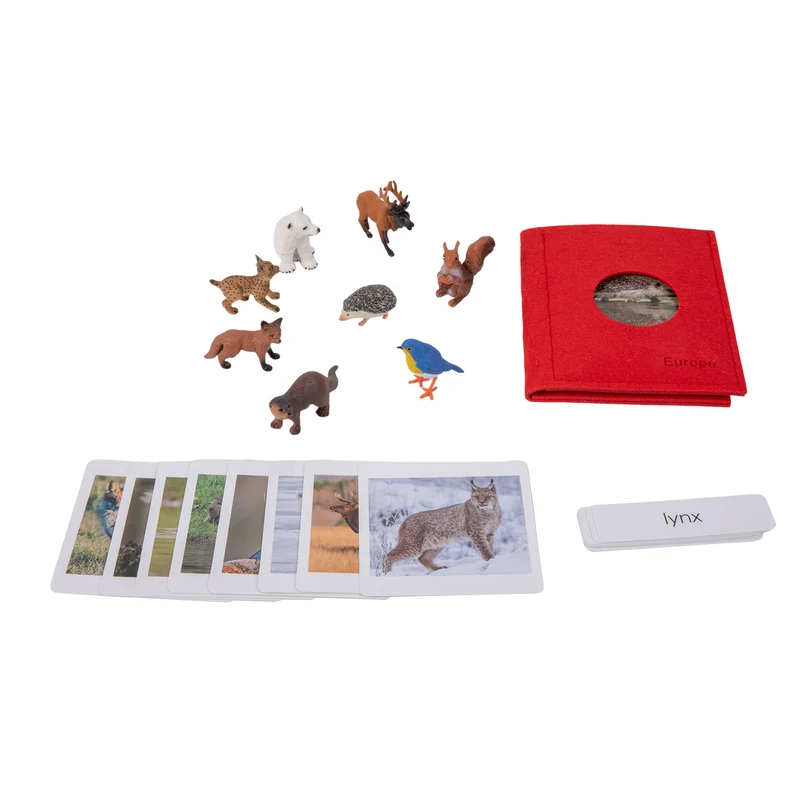 Adena Montessori Educational Materials European Wildlife Sorting Cards EN with album