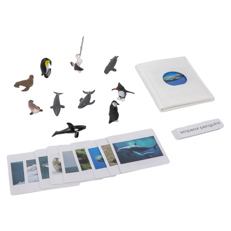 Adena Montessori Materials Animal From Antarctica Objects with Sorting Cards with tray