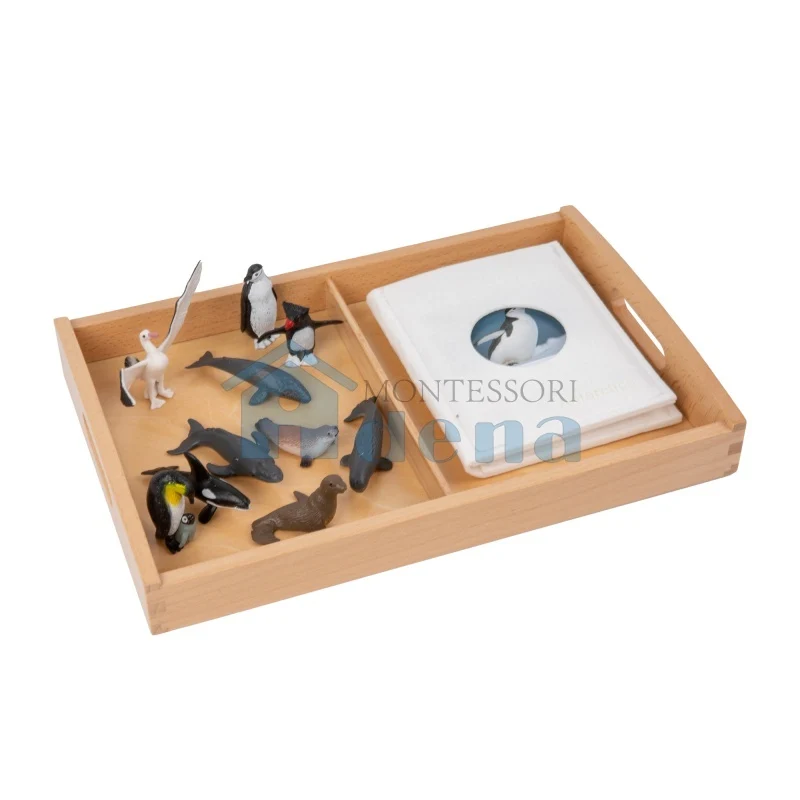 Adena Montessori Materials Animal From Antarctica Objects with Sorting Cards with tray