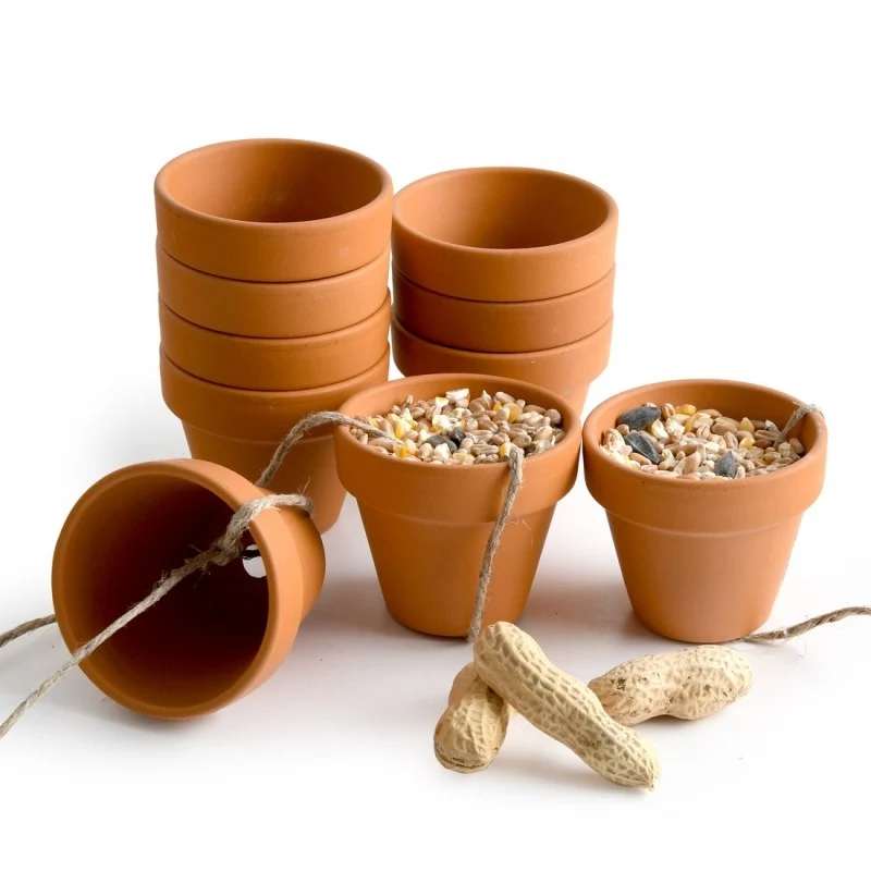 Kit Créatif Mangeoire à Oiseaux – Activité Anniversaire Nature pour 10 Enfants