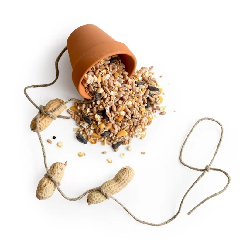 Kit Créatif Mangeoire à Oiseaux – Activité Anniversaire Nature pour 10 Enfants
