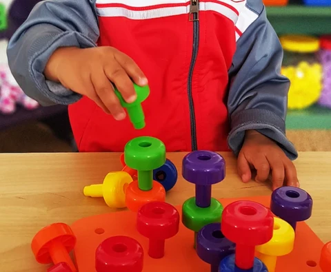 Jeu de planches en bois Montessori pour tout-petits – Jouet d'apprentissage de la motricité fine