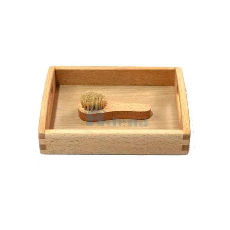 Adena Montessori Practical Life Materials Cleaning Shoes Activity With Tray